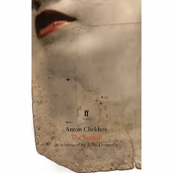 Allen & Unwin The Seagull, English, Paperback, 96 pages