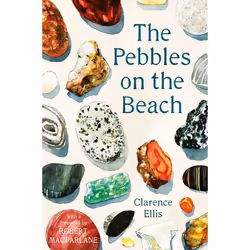 ISBN The Pebbles on the Beach, Paperback, 240 pages
