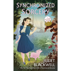 ISBN Synchronized Sorcery book English Paperback 352 pages