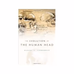 ISBN Evolution of the Human Head, Biology, English, Hardcover, 728 pages