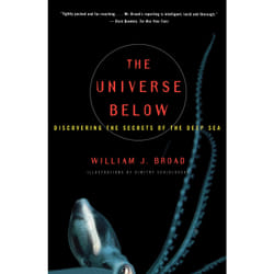 ISBN The Universe Below
