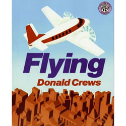 ISBN Flying