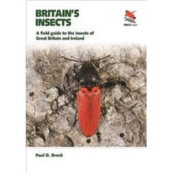 ISBN Britain's Insects : A Field Guide to the Insects of Great Britain and Ireland book Photography English 560 pages