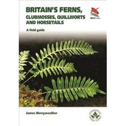 ISBN Britain's Ferns Clubmosses Quillworts and Horsetails : A Field Guide book Photography English 240 pages