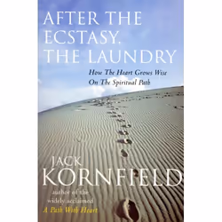 ISBN After The Ecstasy, The Laundry, English, Paperback, 336 pages