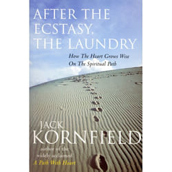 ISBN After The Ecstasy, The Laundry book English Paperback 336 pages