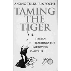 ISBN Taming The Tiger book English Paperback 208 pages