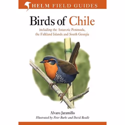 ISBN Birds of Chile, English, Paperback, 240 pages