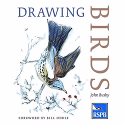 ISBN Drawing Birds, English, Paperback, 144 pages