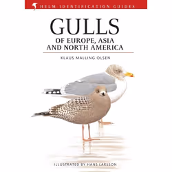ISBN Gulls of Europe, Asia and North America, English, Hardcover, 608 pages