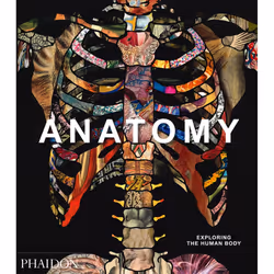 ISBN 9780714879888, Art & design, Italian, Paperback