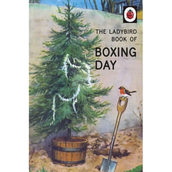 ISBN The Ladybird of Boxing Day book English 56 pages