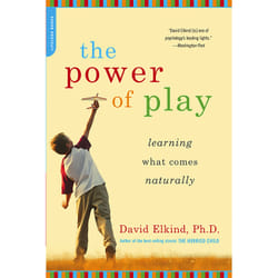 ISBN The Power of Play book Psychology English Paperback 256 pages
