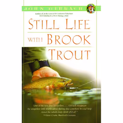 ISBN Still Life with Brook Trout, English, Trade Paperback, 224 pages