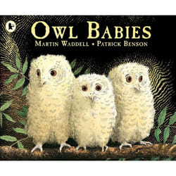 ISBN Owl Babies book Paperback 32 pages