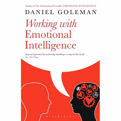 ISBN Working with Emotional Intelligence, English, Paperback, 400 pages