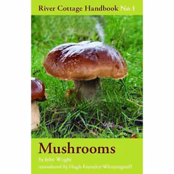 ISBN Mushrooms (River Cottage Handbook No.1), English, Hardcover, 256 pages