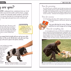 ISBN KISS Guide To Raising a Puppy book Science & nature English Paperback 288 pages