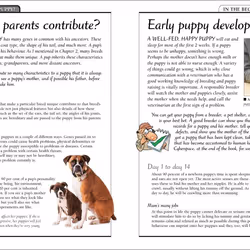 ISBN KISS Guide To Raising a Puppy book Science & nature English Paperback 288 pages