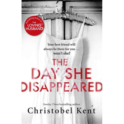 Hachette UK The Day She Disappeared book English Paperback 416 pages