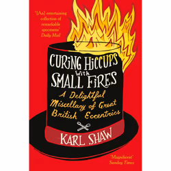 ISBN Curing Hiccups with Small Fires, English, Paperback, 304 pages