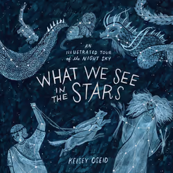 ISBN What We See in the Stars, English, Hardcover, 160 pages