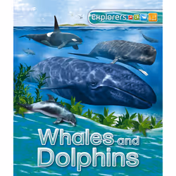 ISBN Explorers: Whales and Dolphins, English, Paperback, 32 pages