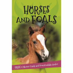 ISBN It's all about... Horses and Foals, English, Paperback, 32 pages