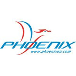 Phoenix FROM BONDAGE book English Paperback 432 pages
