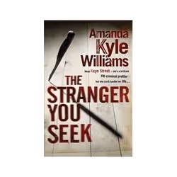 ISBN Stranger You Seek, Crime fiction, English, Paperback, 384 pages