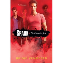 ISBN Spark book English Paperback 345 pages