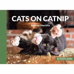 ISBN Cats on Catnip, English, 20 pages