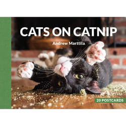 ISBN Cats on Catnip book English 20 pages