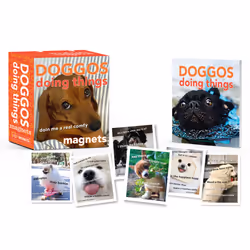 ISBN Doggos Doing Things Magnets, Humor, English, Paperback, 32 pages
