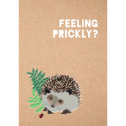 ISBN FEELING PRICKLY JOURNAL book Humor English