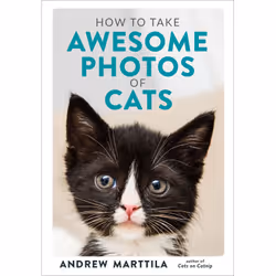 ISBN How to Take Awesome Photos of Cats, English, Hardcover, 240 pages