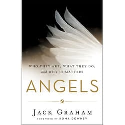 ISBN Angels (Who They Are, What They Do, and Why It Matters) book English Paperback 224 pages