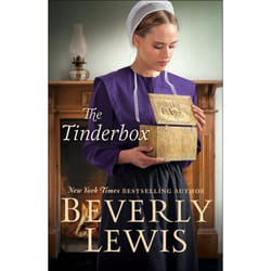ISBN The Tinderbox book English Paperback 352 pages