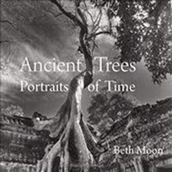 ISBN Ancient Trees : Portraits of Time, Photography, English, Hardcover