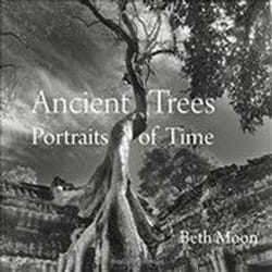 ISBN Ancient Trees : Portraits of Time book Photography English Hardcover