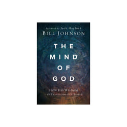 Mind of God by Johnson & Bill