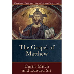 ISBN The Gospel of Matthew book English Paperback 384 pages