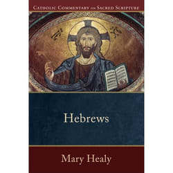 ISBN Hebrews book English Paperback 320 pages