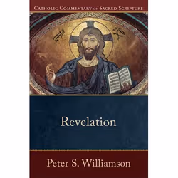 ISBN Revelation, English, Paperback, 384 pages