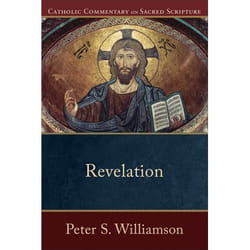 ISBN Revelation book English Paperback 384 pages