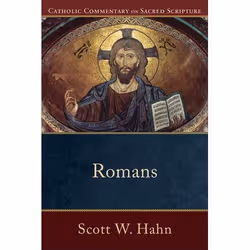 ISBN Romans, English, Paperback, 336 pages