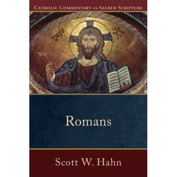 ISBN Romans book English Paperback 336 pages