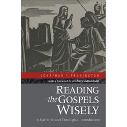 ISBN Reading the Gospels Wisely (A Narrative and Theological Introduction) book English Paperback 282 pages