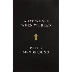 ISBN What We See When We Read