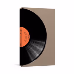 ISBN A Record of My Vinyl, Potter Gift, Clarkson Potter, 29/08/2017, 1 pc(s)